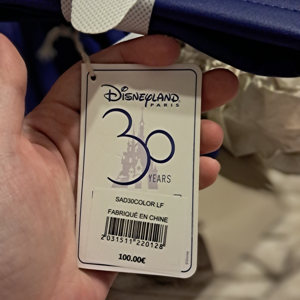 Disneyland Paris 30th Anniversary Loungefly Backpack (Rare) NWT - Picture 5 of 7